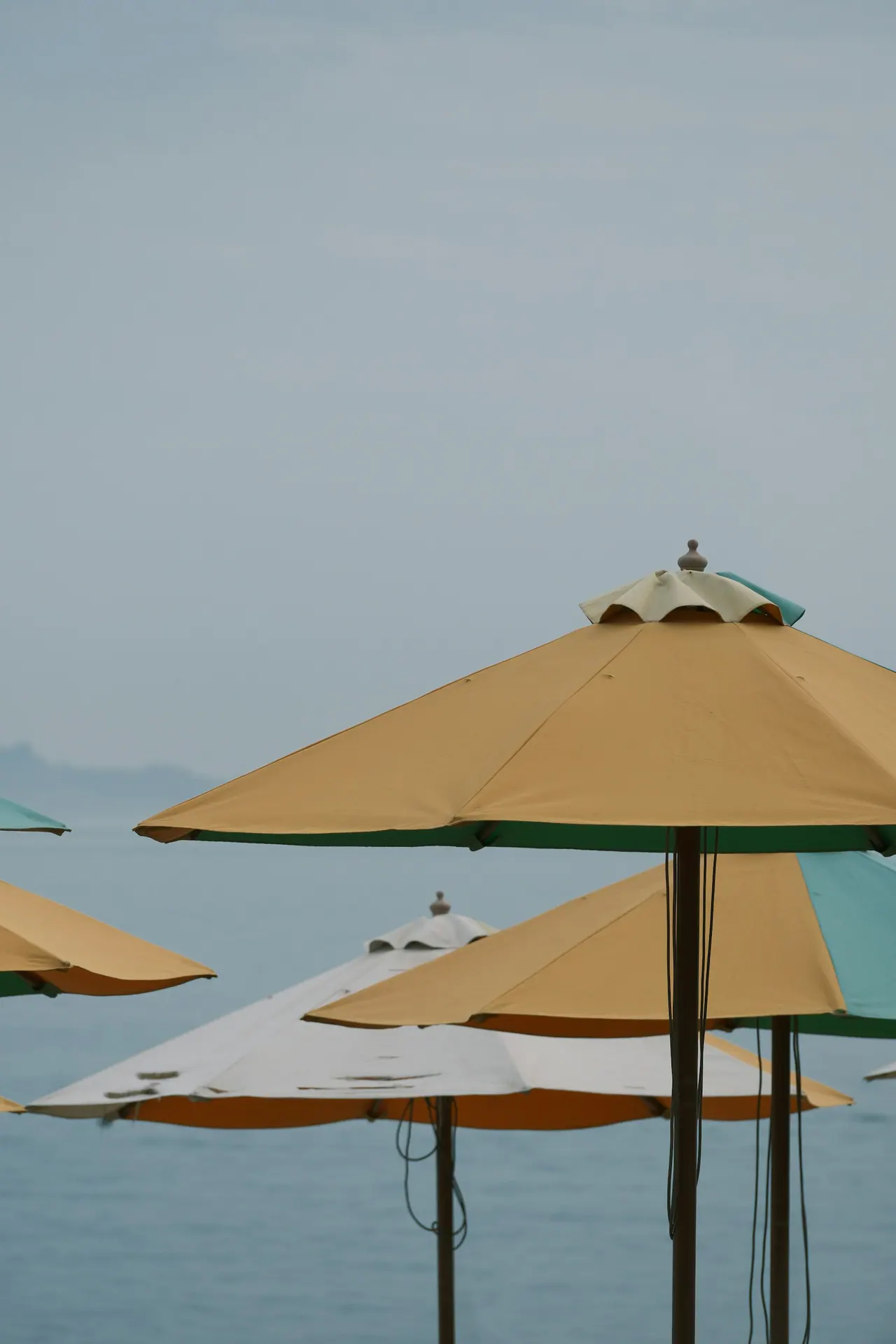 Beach umbrellas overlooking the ocean