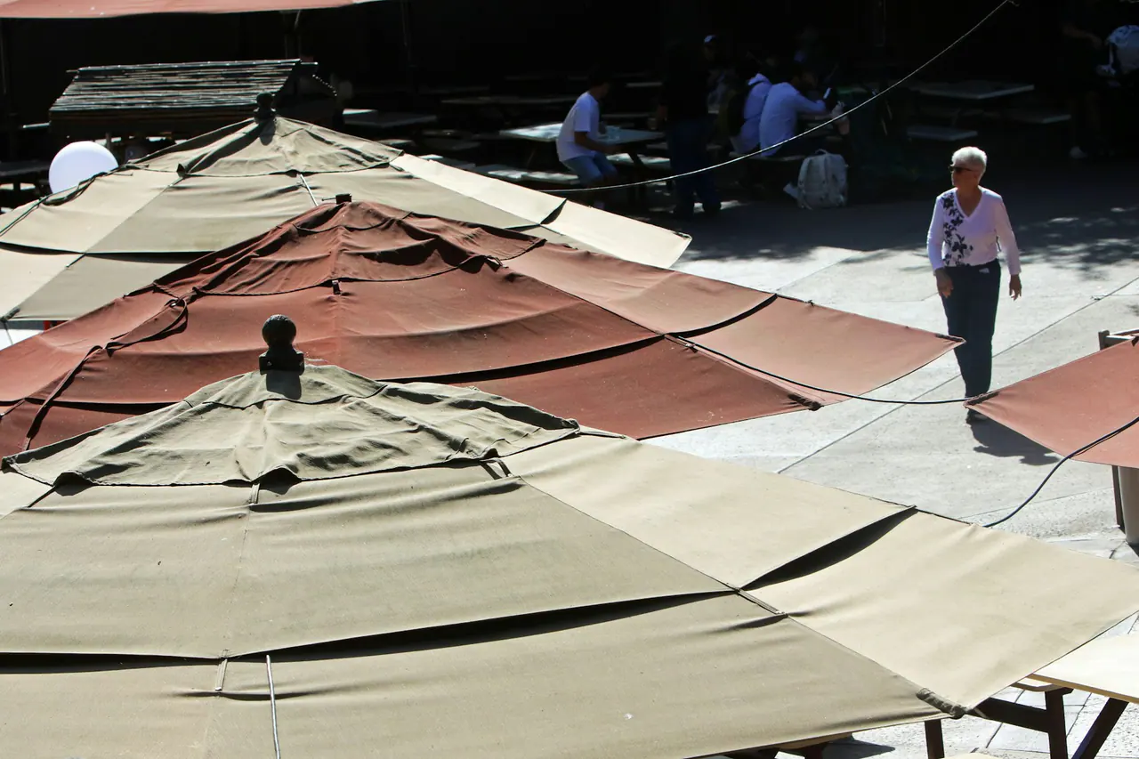 Large market umbrellas over outdoor tables